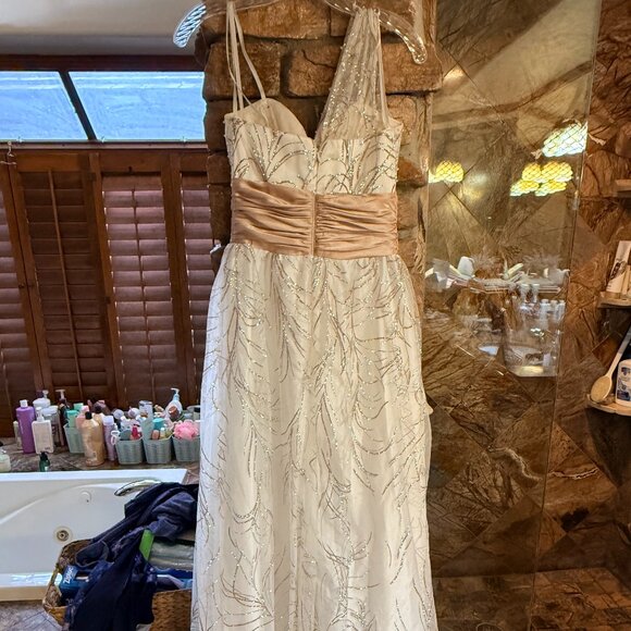 Elegant Ivory Cache Gown with Sequin Details and Blush Waistband - Picture 1 of 7